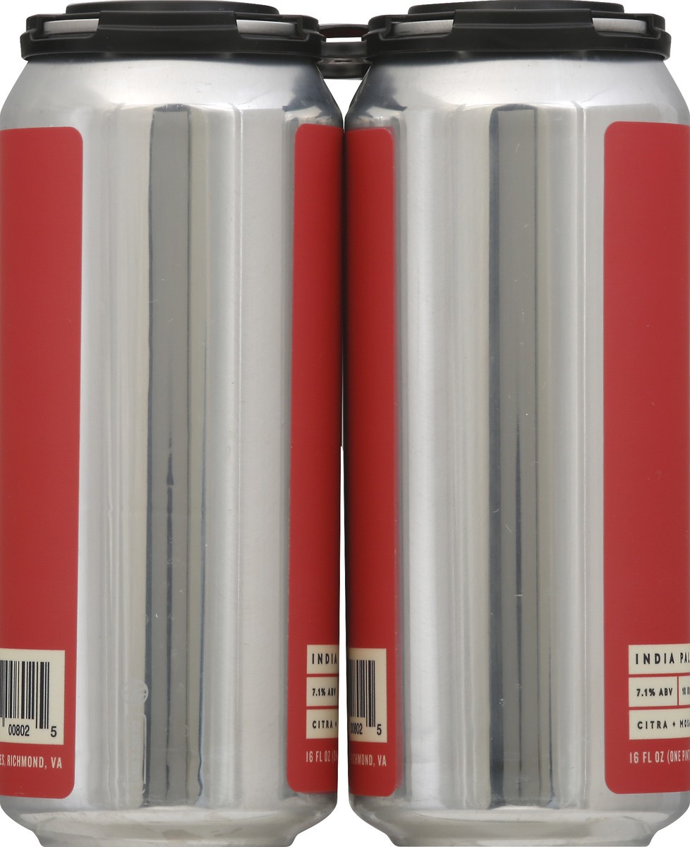 slide 8 of 8, IPA X 4 Pack Indian Pale Ale Beer 4 ea, 4 ct