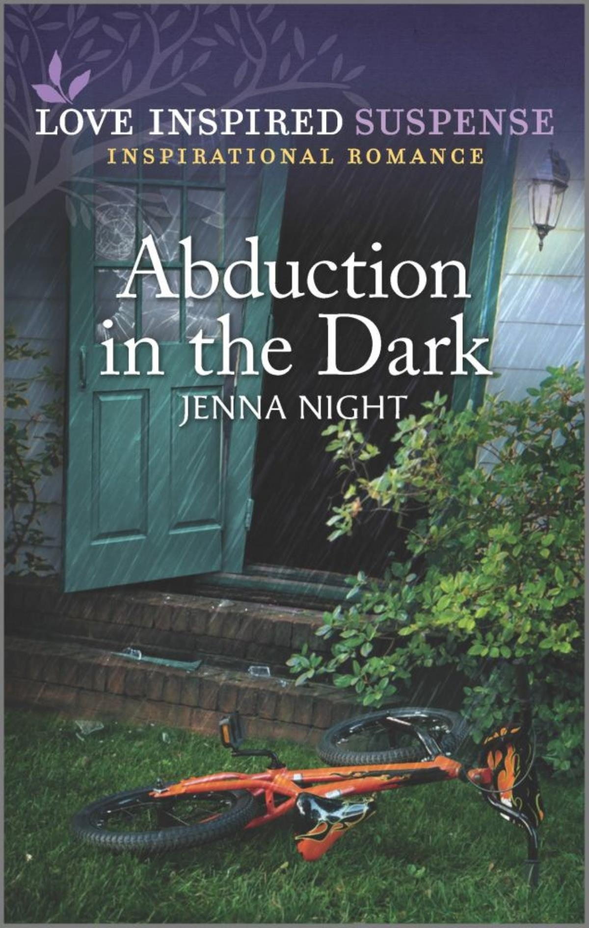 slide 1 of 1, Abduction In The Dark, 1 ct