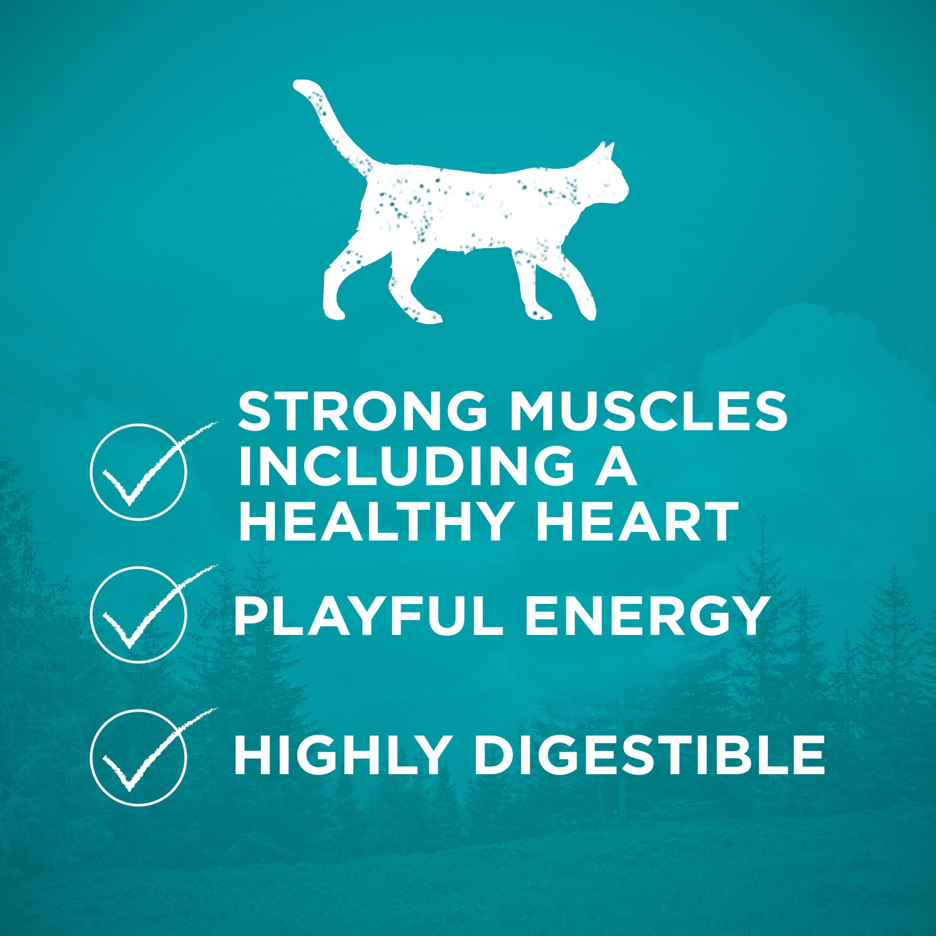 slide 5 of 9, Purina One True Instinct Natural Grain Free Cat Food With Ocean Whitefish + Vitamins & Minerals, 6.3 lb