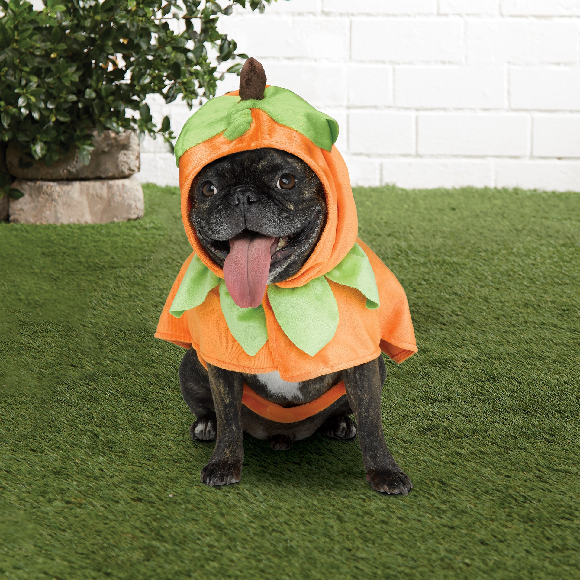 slide 3 of 3, Pumpkin Dog Costume By Ashland, 1 ct