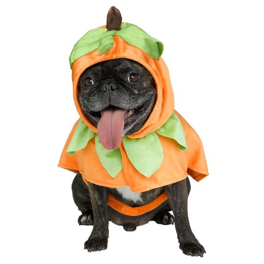 slide 1 of 3, Pumpkin Dog Costume By Ashland, 1 ct