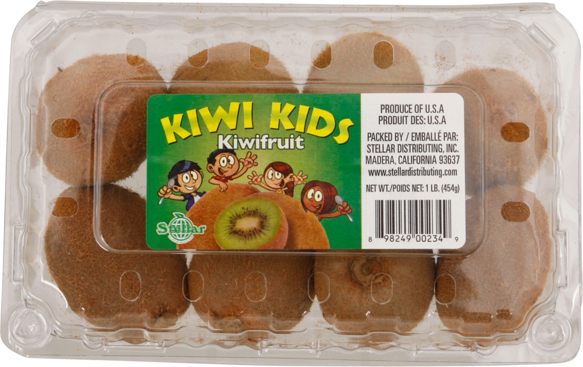 slide 3 of 12, Stellar Kiwi Kids Kiwifruit 1 lb, 1 lb