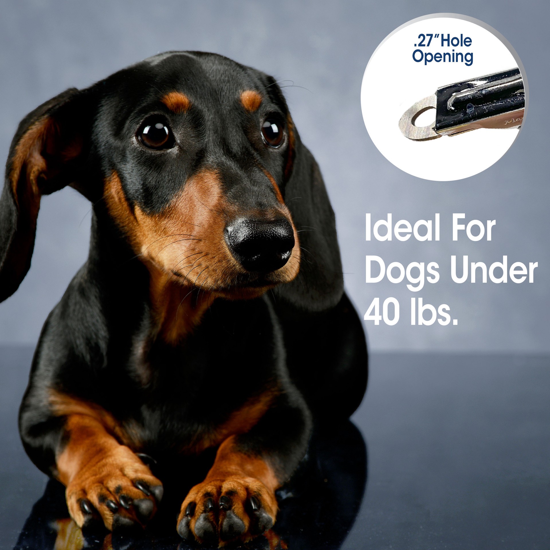 slide 4 of 10, Four Paws Magic Coat Professional Series Nail Trimmer for Dogs, 1 ct