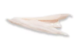 Fisherman's Wharf Whiting Fillets