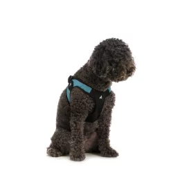 Gooby Escape Free Harness in Turquoise, Small