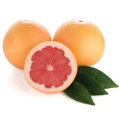 Grapefruit Red