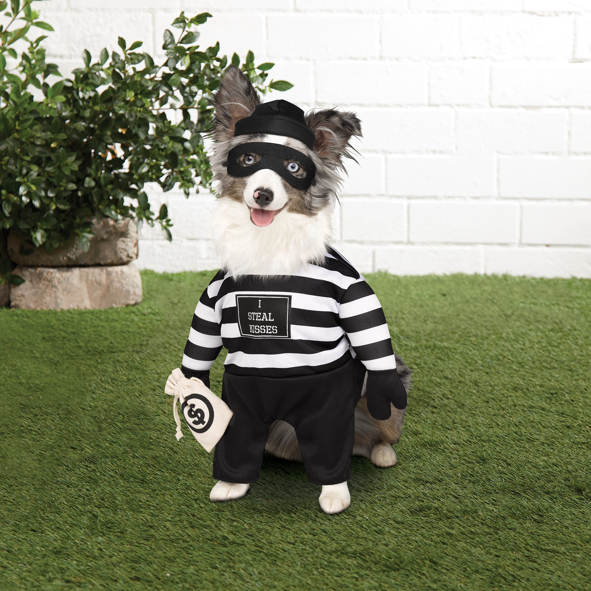 slide 2 of 3, Robber Dog Costume By Ashland, 1 ct