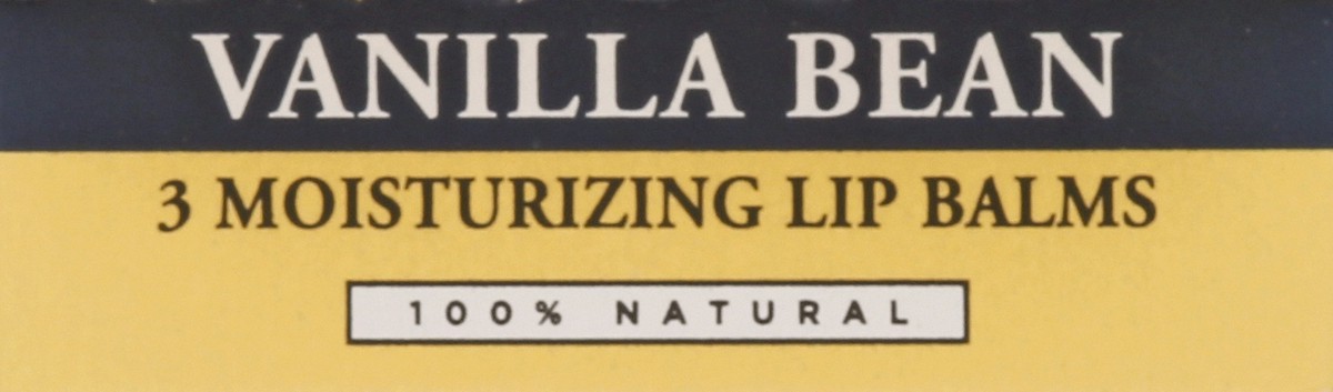 slide 5 of 9, Burt's Bees Lip Balm, Vanilla Bean, 3 ct