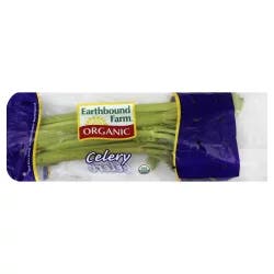 Earthbound Farm Organic Celery Stalk