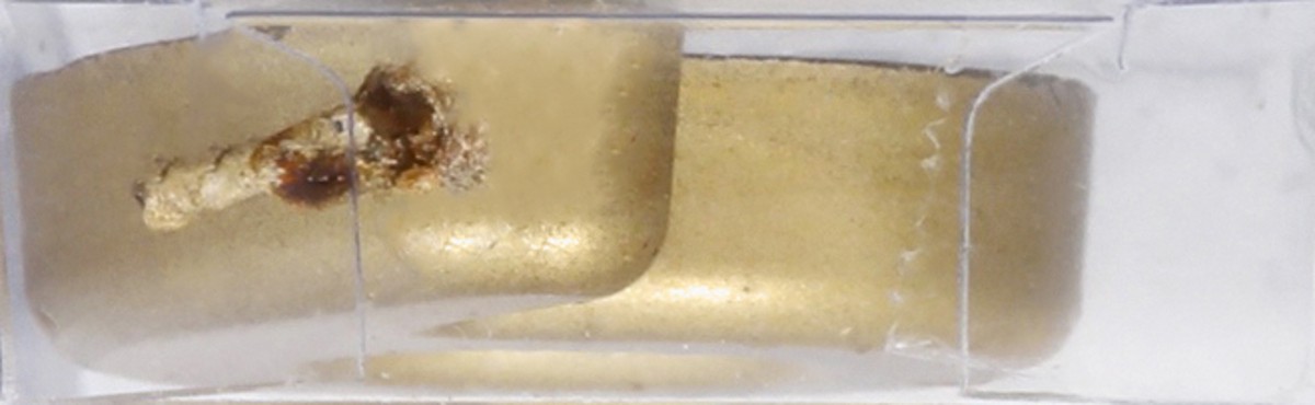 slide 5 of 6, Unique Candle 1 ea, 1 ct