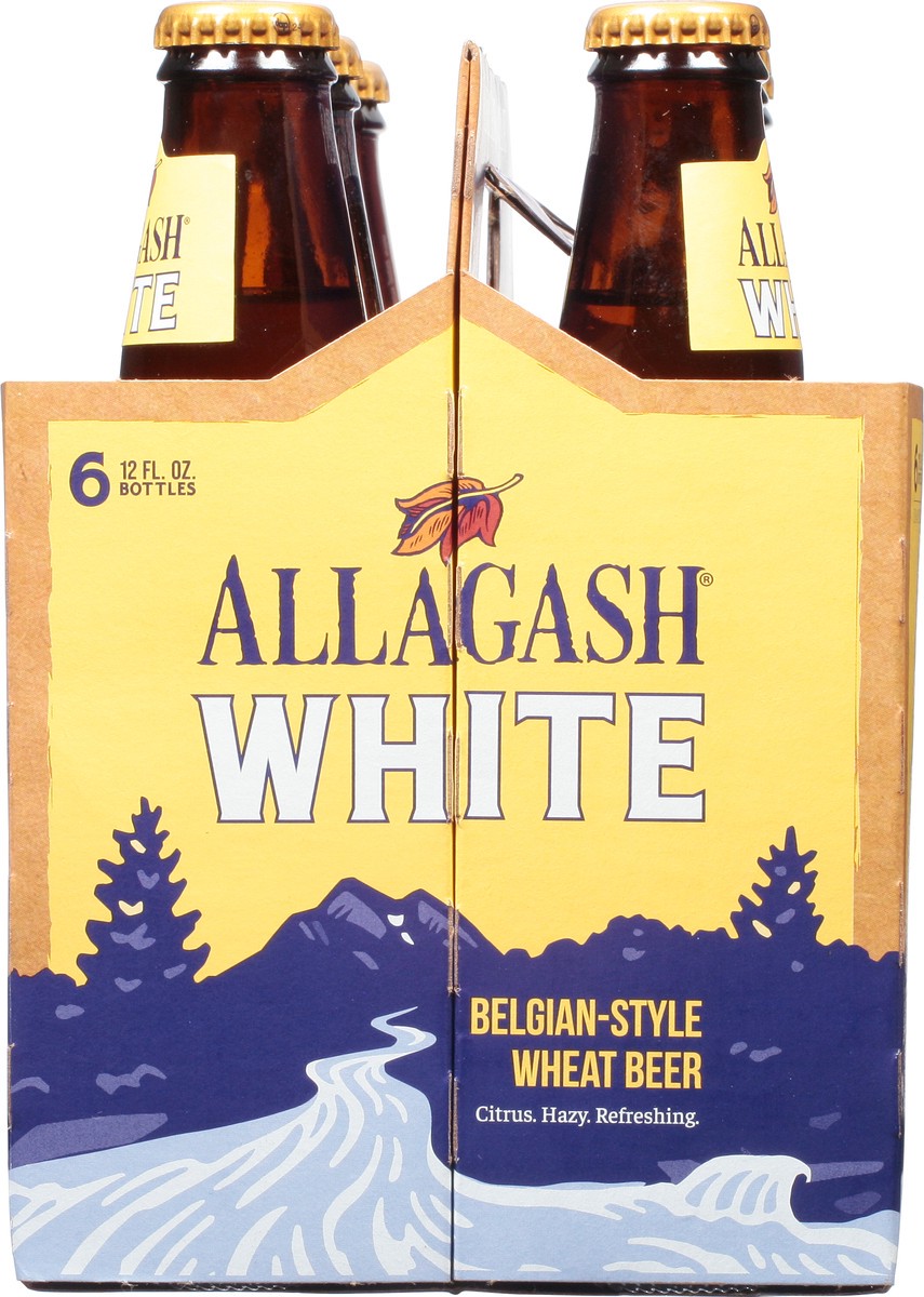 slide 5 of 10, Allagash White, 1 ct