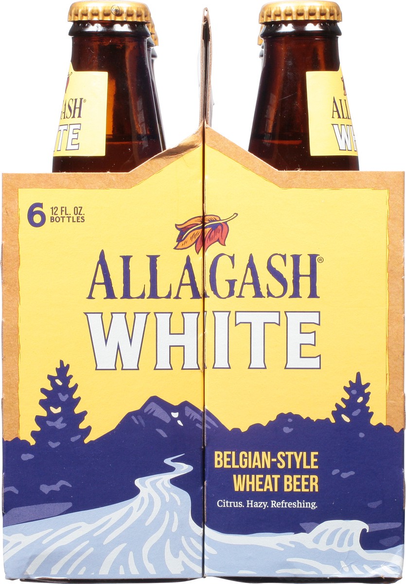 slide 3 of 10, Allagash White, 1 ct