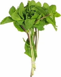 Fresh Mint