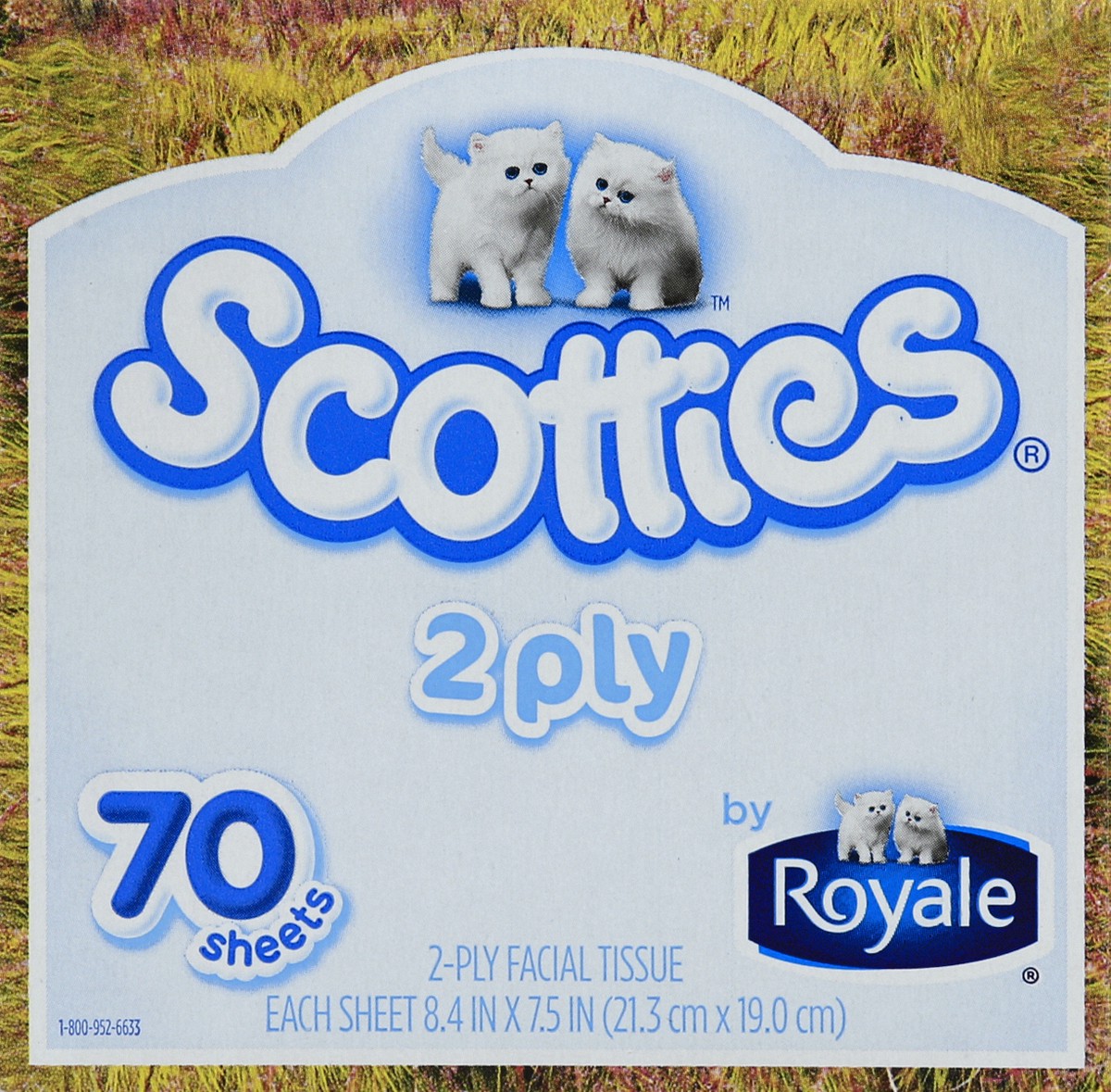 slide 4 of 4, Scotties Facial Tissue 70 ea, 70 ct