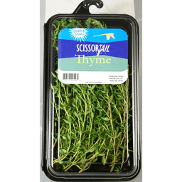 slide 1 of 1, Scissor Tail Thyme, 0.7 oz