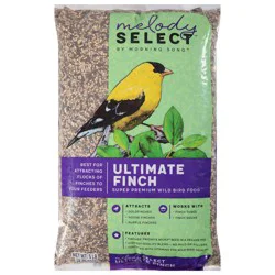 Morning Song Melody Select Super Premium Ultimate Finch Wild Bird Food 5 lb