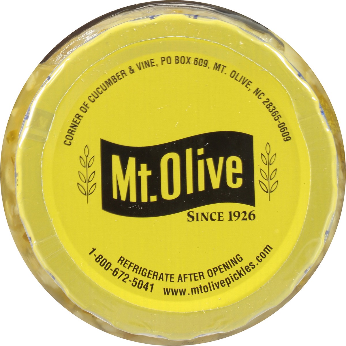 slide 2 of 8, Mt. Olive Kosher Dill Relish Sea Salt, 16 fl oz