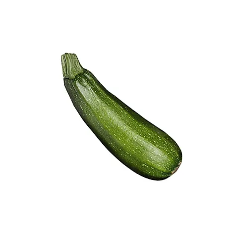 slide 1 of 1, Baby Green Zucchini Squash, 1 ct