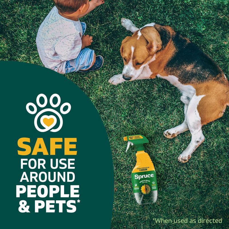 slide 5 of 12, Zevo Spruce Weed and Grass Killer Trigger Spray Fertilizer 24oz, 24 oz