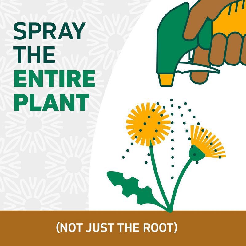 slide 4 of 12, Zevo Spruce Weed and Grass Killer Trigger Spray Fertilizer 24oz, 24 oz