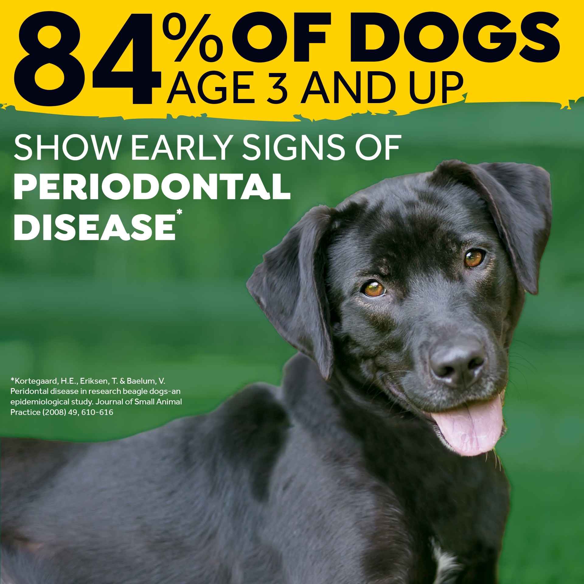 slide 2 of 9, TropiClean Fresh Breath Oral Care Spray for Pets, 4oz, 4 oz