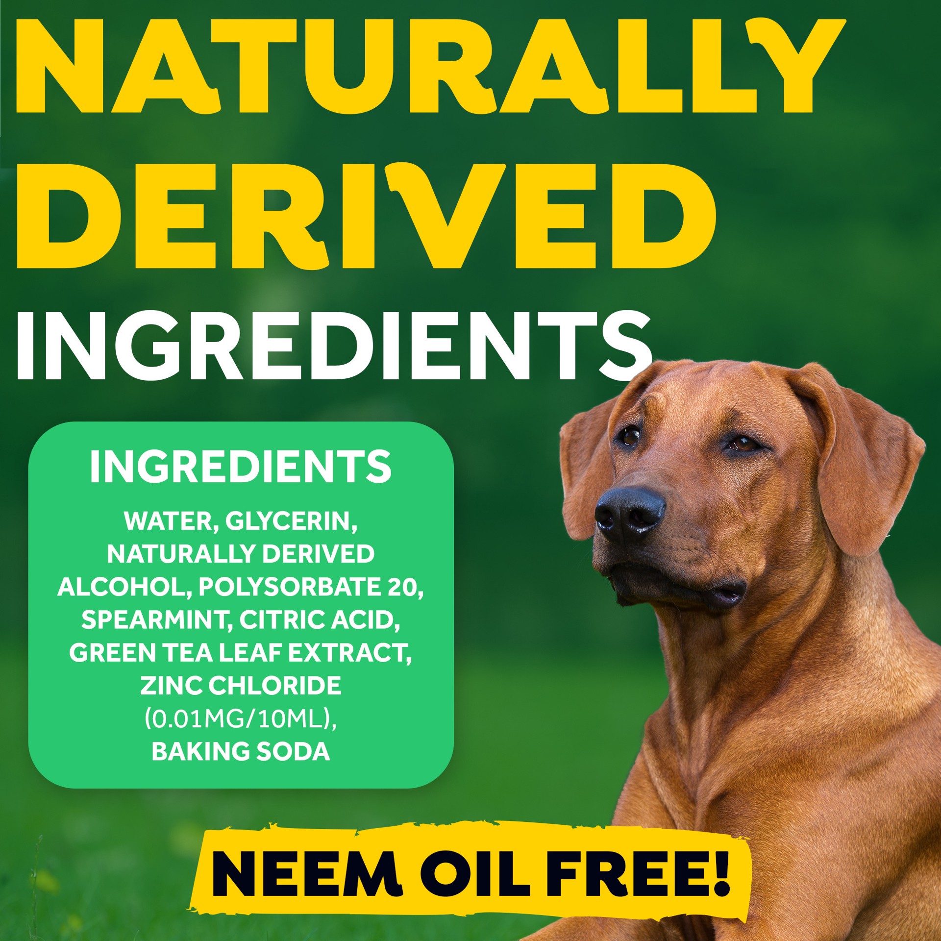 slide 6 of 9, TropiClean Fresh Breath Oral Care Spray for Pets, 4oz, 4 oz