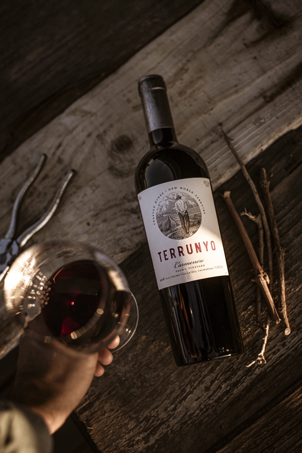 slide 4 of 4, Terrunyo Carmenere, 750 ml