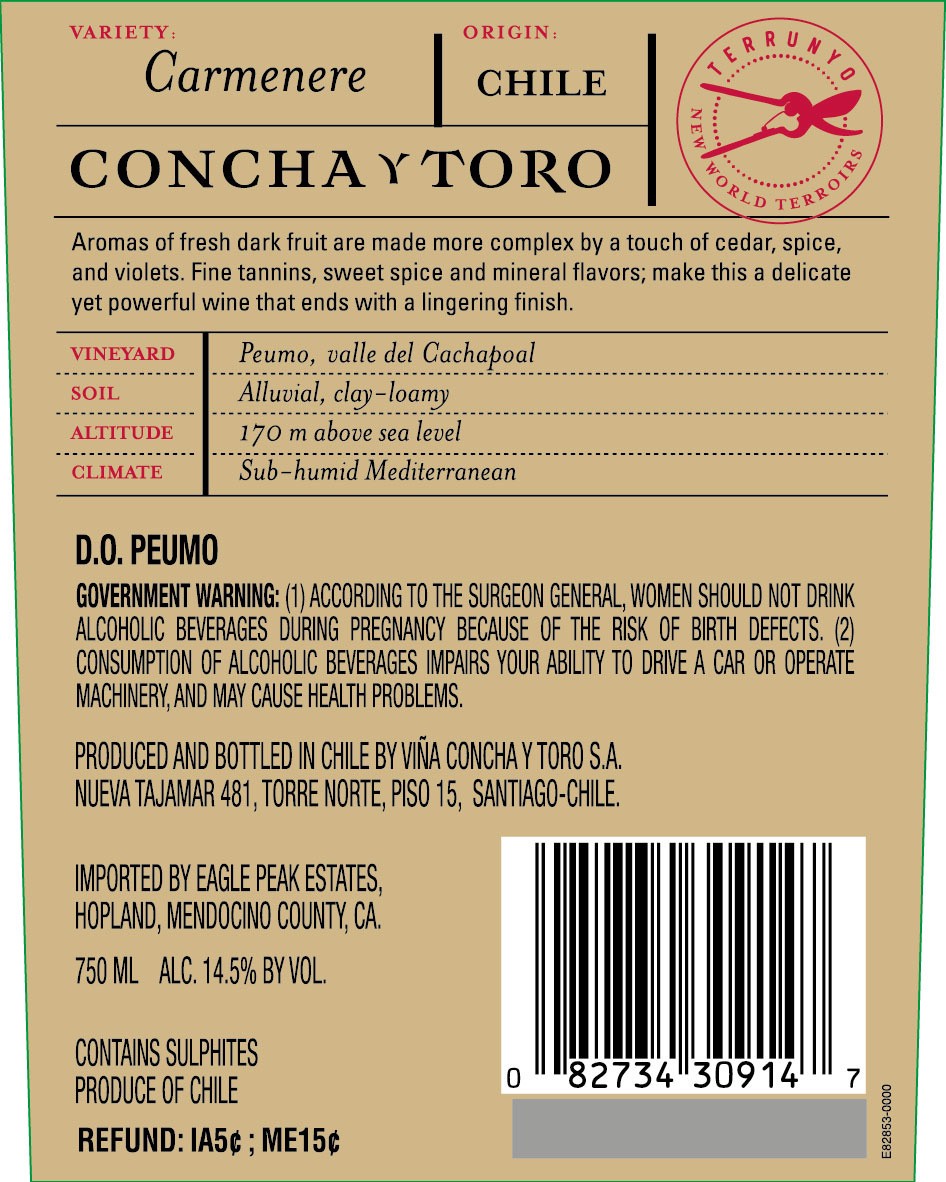 slide 3 of 4, Terrunyo Carmenere, 750 ml