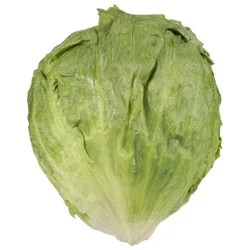 Organic Iceberg Lettuce