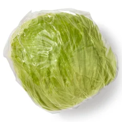 Organic Iceberg Lettuce