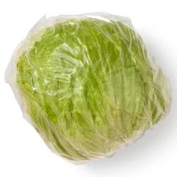 Organic Iceberg Lettuce