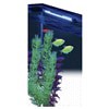 slide 6 of 29, GloFish Blue LED Aquarium Light, 8 ft