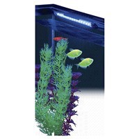 slide 19 of 29, GloFish Blue LED Aquarium Light, 8 ft
