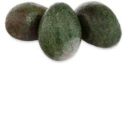 Organic Avocado