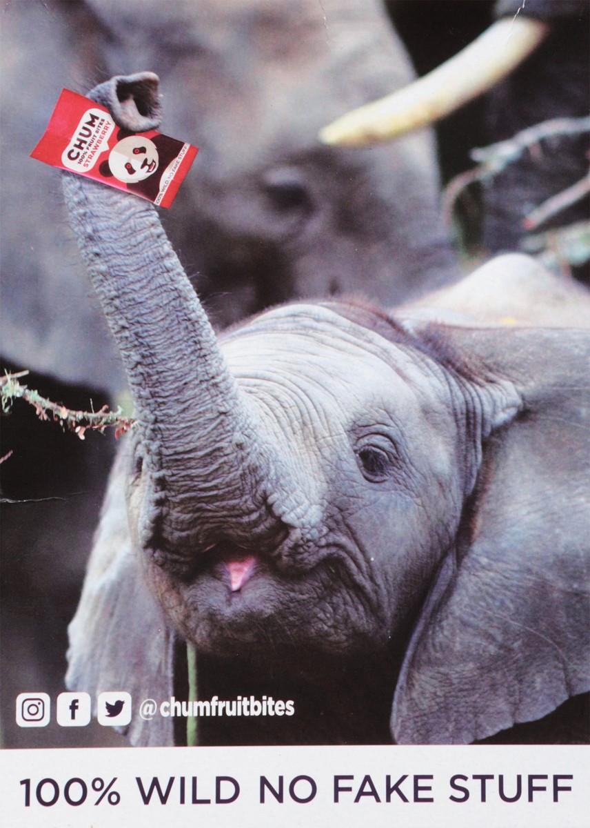 slide 3 of 9, Chum Peach Fruit Bites, 4-Pack, 0.7 oz