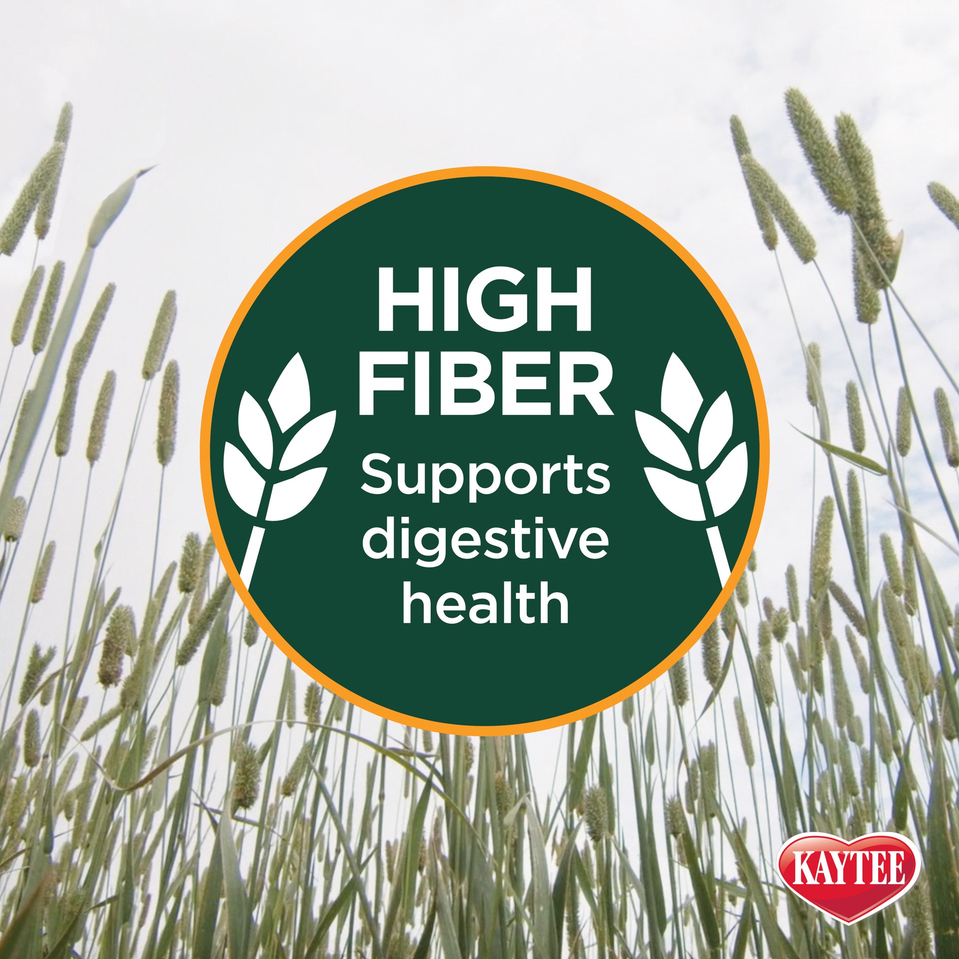 slide 4 of 8, Kaytee Timothy Hay & Orchard Grass 48 oz, 1 ct