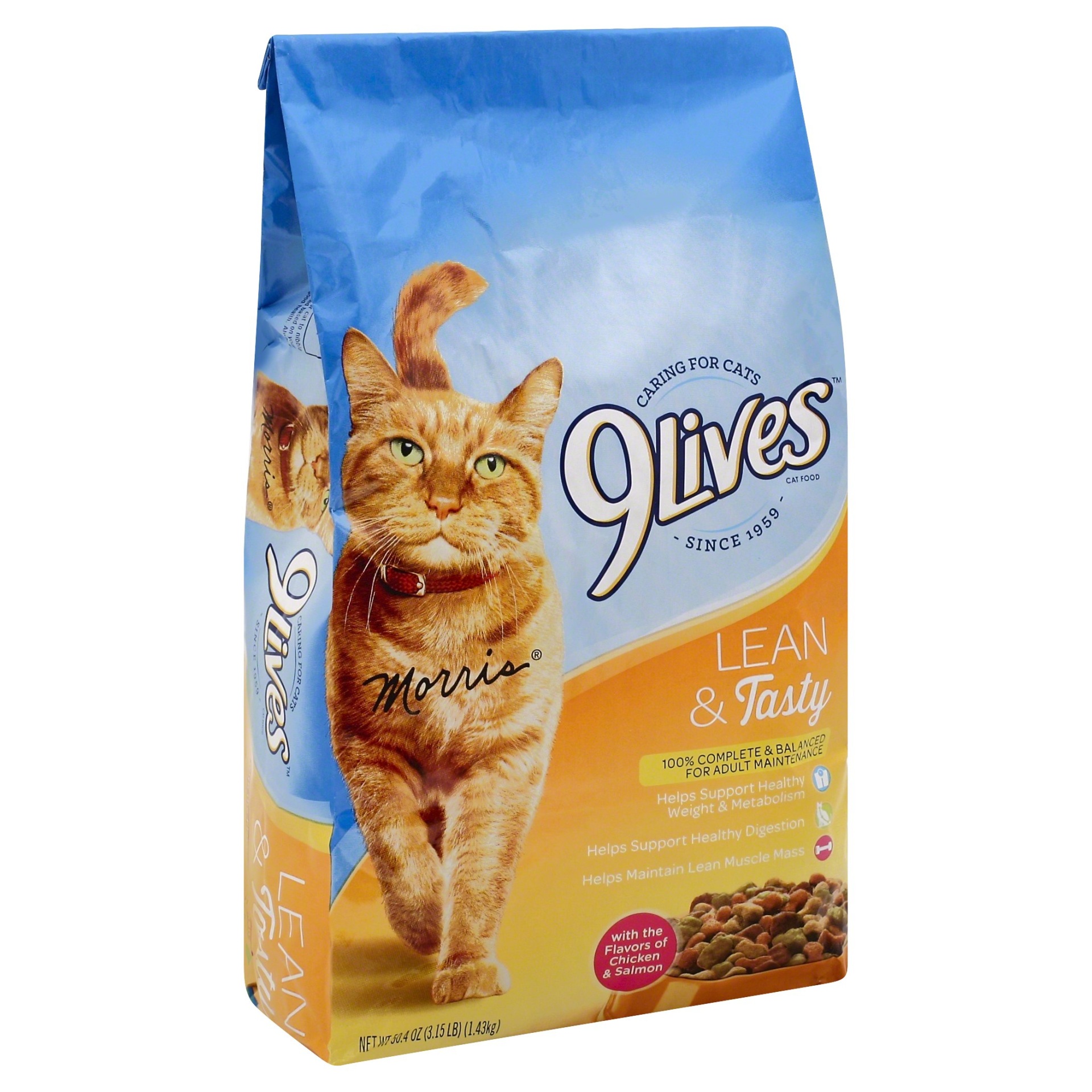 slide 1 of 1, 9Lives Indoor Complete Dry Cat Food, 3.15 lb