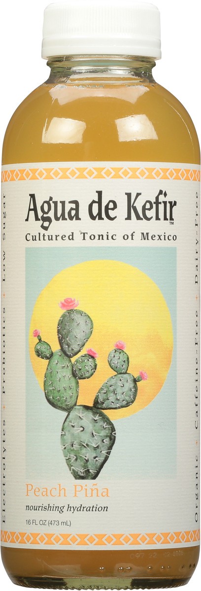 slide 9 of 9, GT's Agua de Kefir Peach Pina Cultured Tonic of Mexico 16 fl oz, 16 fl oz