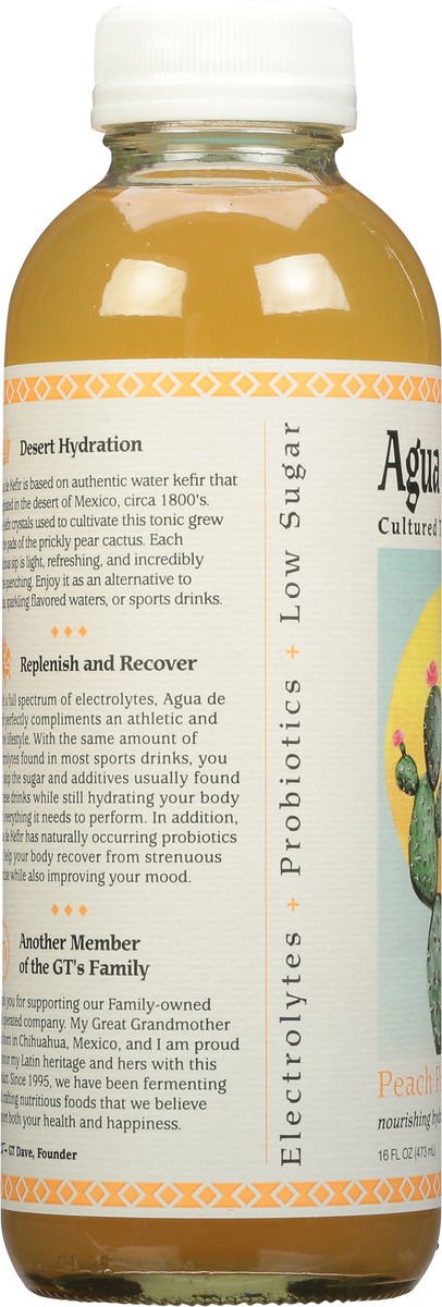 slide 8 of 9, GT's Agua de Kefir Peach Pina Cultured Tonic of Mexico 16 fl oz, 16 fl oz