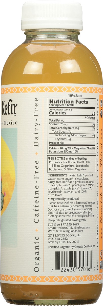 slide 5 of 9, GT's Agua de Kefir Peach Pina Cultured Tonic of Mexico 16 fl oz, 16 fl oz