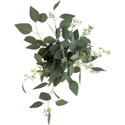 BLOOMS by H-E-B 3 Stem Seeded Eucalyptus