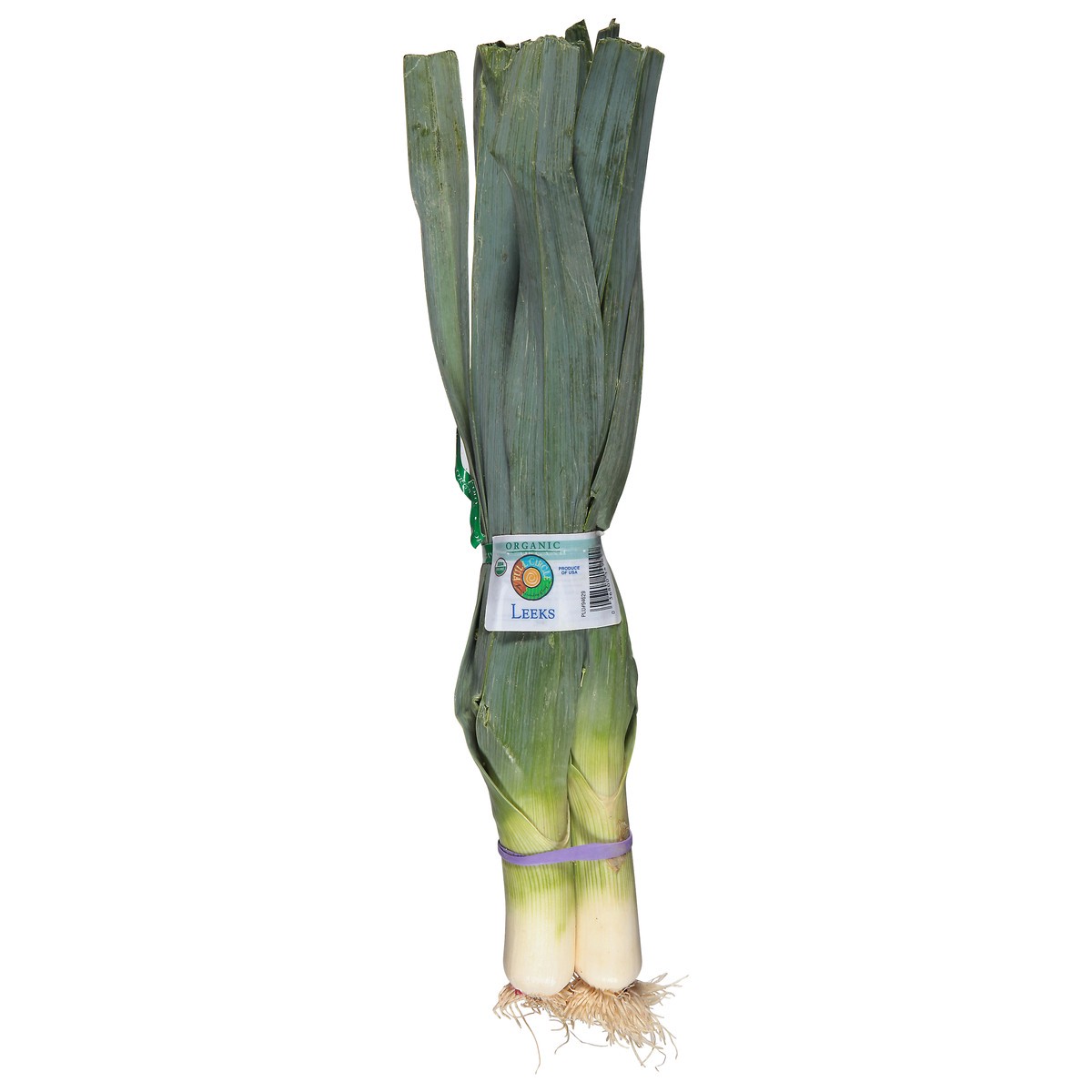 slide 1 of 16, Full Circle Market Full Circle Organic Leeks, 1 ct