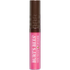 slide 2 of 27, Burt's Bees 100% Natural Moisturizing Lip Gloss, Spring Splendor - 1 Tube, 0.2 oz