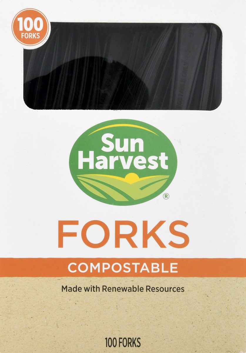 slide 9 of 10, Sun Harvest Forks, 100 ct