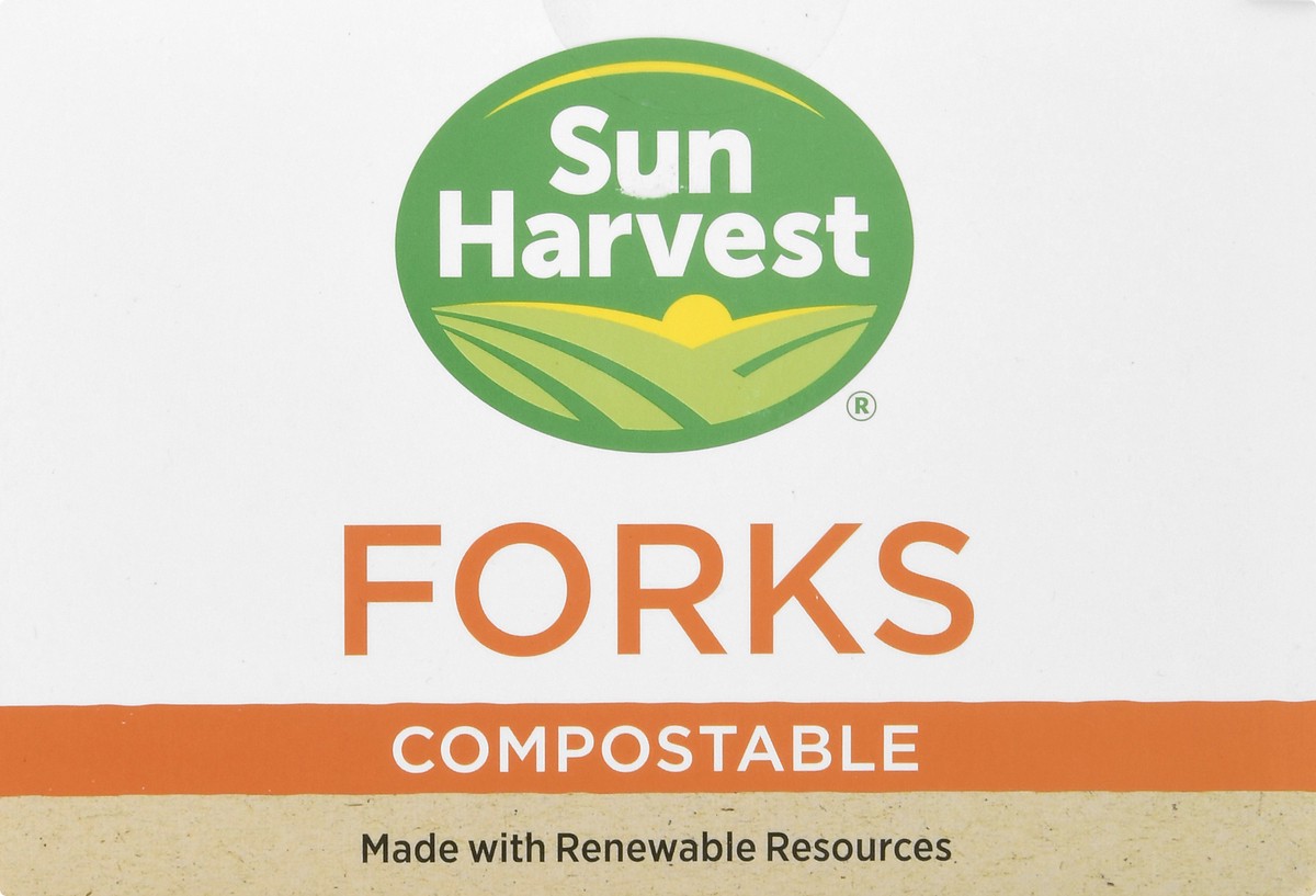 slide 4 of 10, Sun Harvest Forks, 100 ct