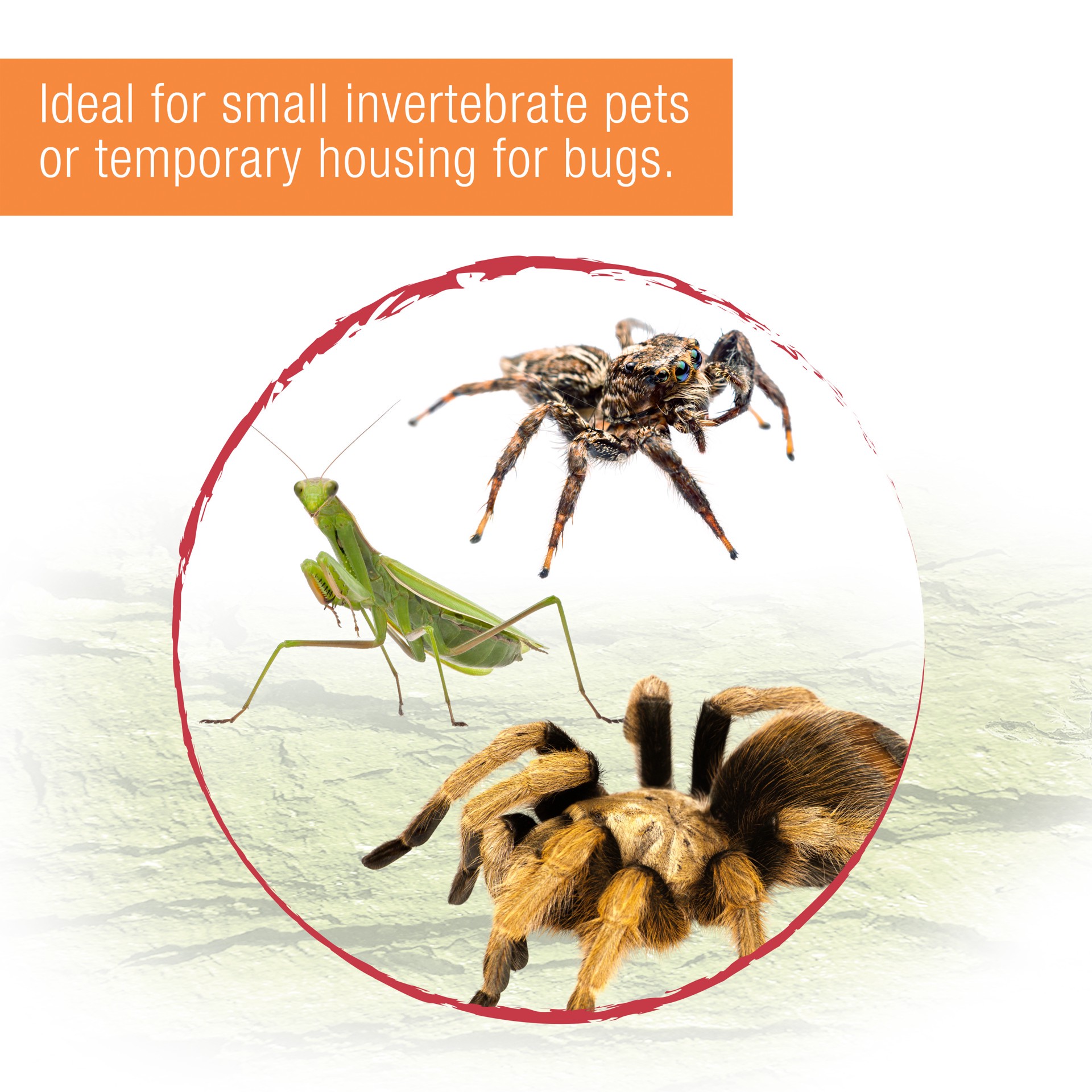slide 7 of 9, Zilla Micro Habitat Terrariums with Locking Latch Terrestrial, Small, 1 ct