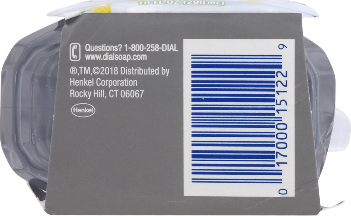 slide 8 of 9, Dial Complete Antibacterial Foaming Hand Wash, Soothing White Tea, 10 fl oz, 10 fl oz