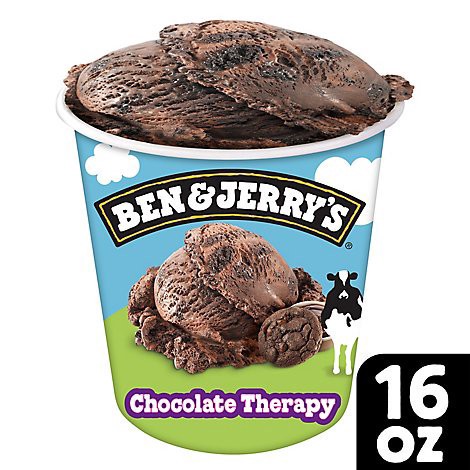 slide 1 of 1, Ben & Jerry's Ice Cream Chocolate Therapy - 16 Oz, 16 oz
