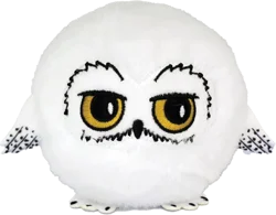 Ty Hedwig