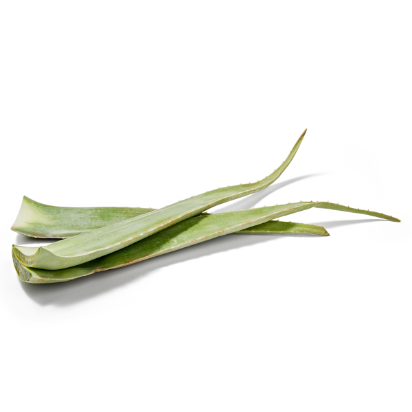slide 4 of 5, Aloe Leaves, 1 ct